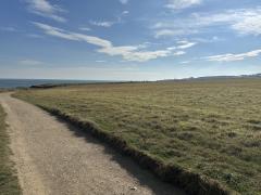 Just north of Marsden Bay - we accidentally got involved with a charity walk